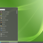Cinnamon_1